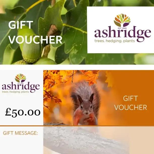 Ashridge Trees £50 gift voucher featuring acorns and red squirrel autumn wildlife imagery