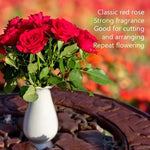 Alec's Red Rose Flowers in Flower Vase