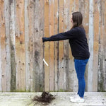 Bareroot amber heart cherry - maiden size tree