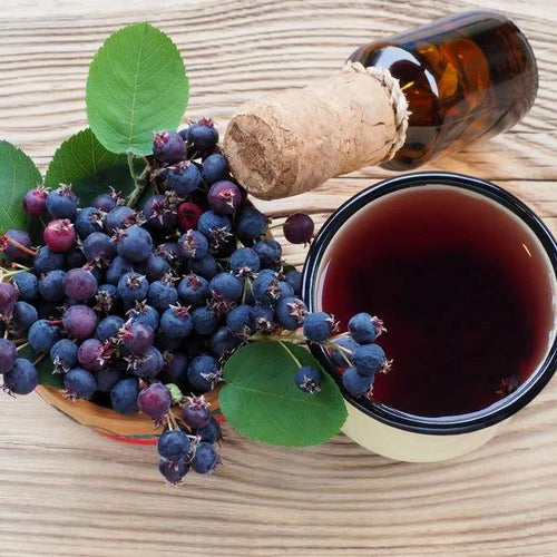 Ripe Amelanchier juneberries