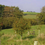 Ashridge Tree Guard Shelter