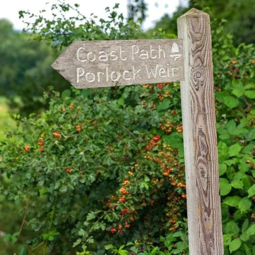 Coastal pathway sign to Porlock Weir in front of salt tolerant hedge