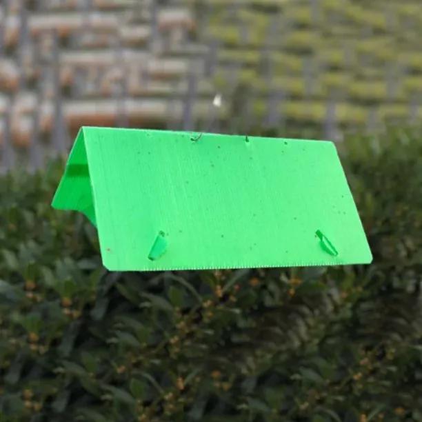 Green triangular Codling Moth Pheromone Trap mounted on stake in garden setting for pest control