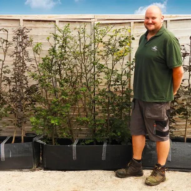 Green Beech Instant Hedge Trough Modelled by Local Hearthrob Rodney