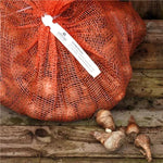 10G Bag of Naturalising Daffodils