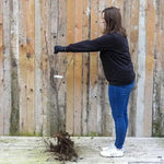 Bareroot Penny Cherry Maiden Tree