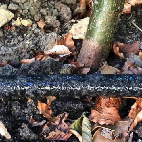 Porous Leaky Hose seeping water at the base of a plant