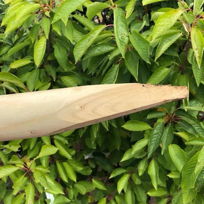 Rounded Tree Planting Support Stake (Needs padded buckle and strap tie, sold separately)