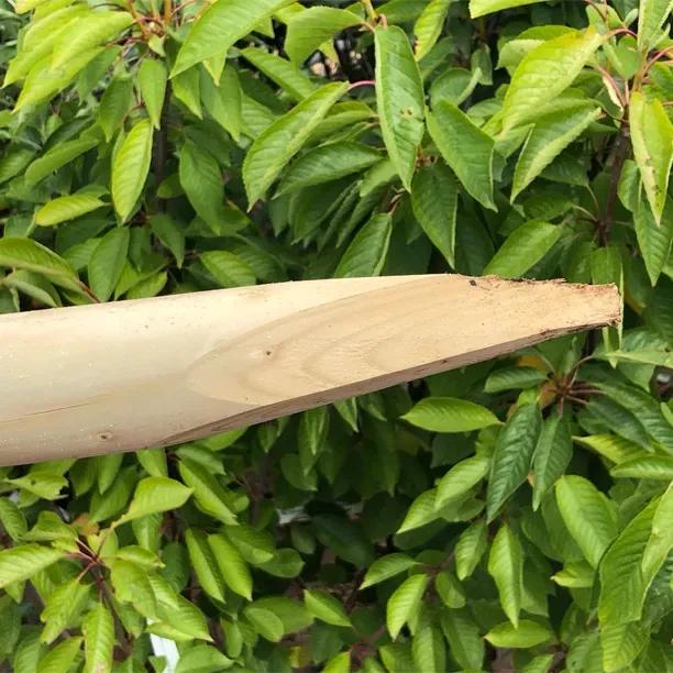 Rounded Tree Planting Support Stake (Needs padded buckle and strap tie, sold separately)