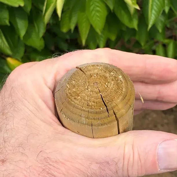 Rounded Tree Planting Support Stake (Needs padded buckle and strap tie, sold separately)