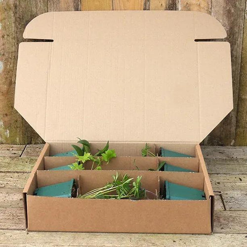 9cm Pot Herbaceous Perennial Plant Collection in Recycled Box