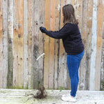 Bareroot Somerset Redstreak Maiden Apple Tree