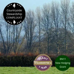 Stock Friendly Hedging in Winter