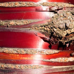 Tibetan Cherry Tree Bark