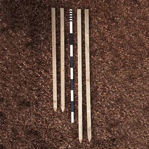Treated Softwood Stakes for Supporting Tree Guards