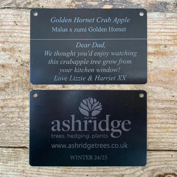 personalised metal tree tag showing the front and back of the tag