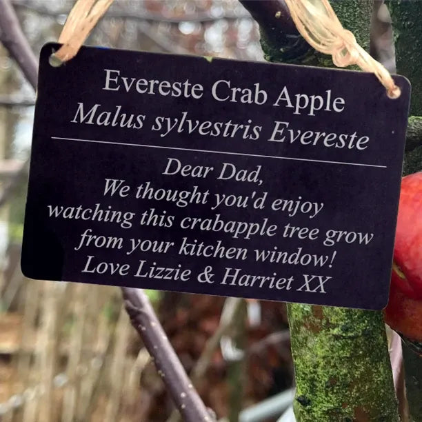 personalised metal tree tag showing the tree name and message