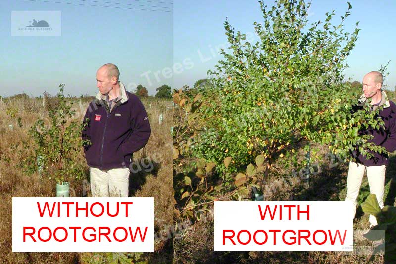 Rootgrow-Trial