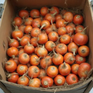 flower bulbs stored in a box