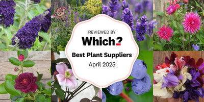 best-plant-supplier-which-gardening