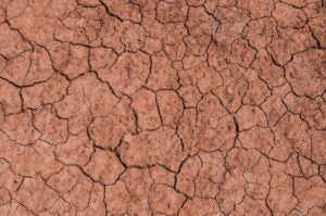 dry clay soil