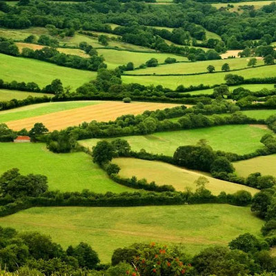 Native Country Hedging