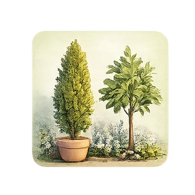 Compact trees in pots for small gardens, courtyards and container planting