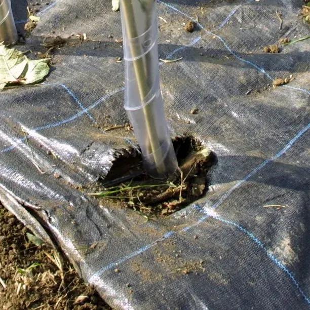 1m Wide Mypex Mulch Fabric