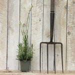 A dark metal garden fork with a long handle stands upright against a whitewashed wooden plank wall, next to a small potted lavender plant in a gray pot.