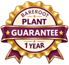 1 Year Bareroot Guarantee