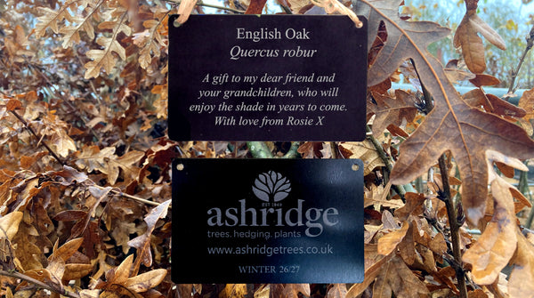 Black coated aluminium tags for trees