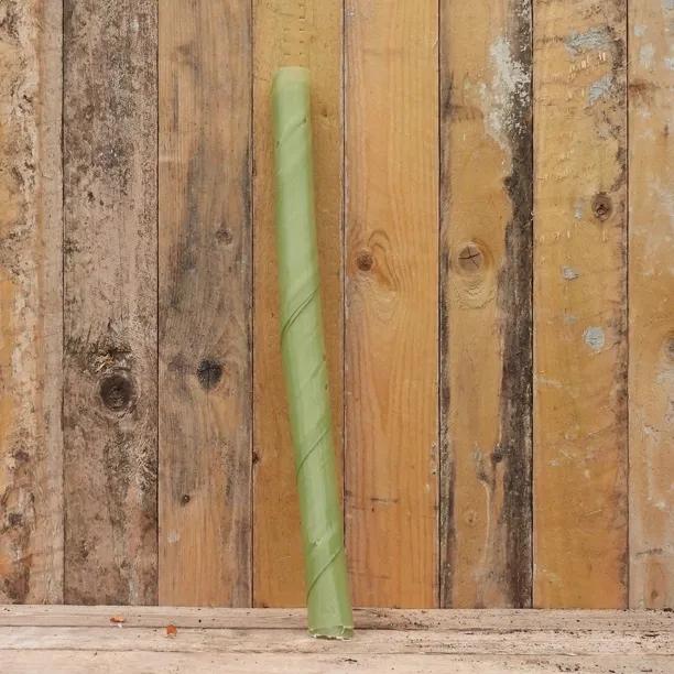 Biodegradable spiral guard tree protector standing against rustic wooden fence background