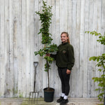 A woman stands next to a tall potted golden hornet crabapple tree on a wooden deck in front of a white wooden fence, holding the pot and smiling. A garden fork is leaning against the fence.