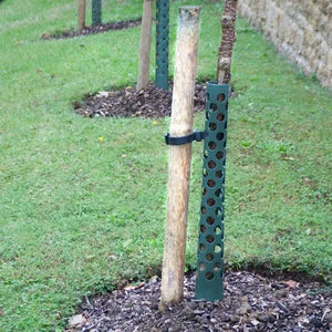 Tree Guard Posts Tree Stakes & Guards | Rabbit & Deer Protection