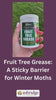 Why and how to apply fruit tree grease to fruit trees