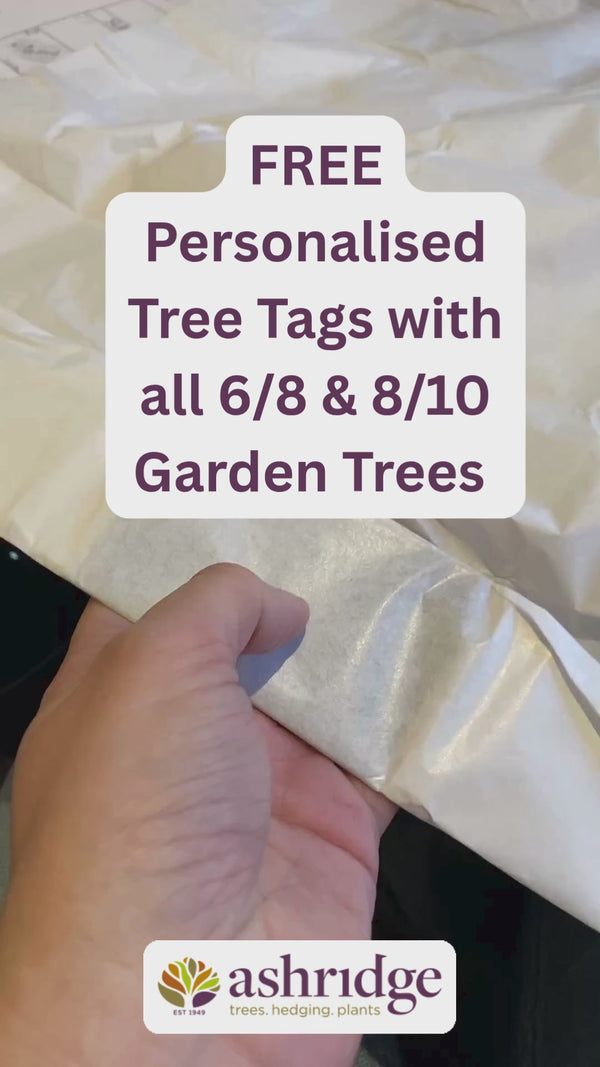 Video that shows how Ashridge free tee tags are made