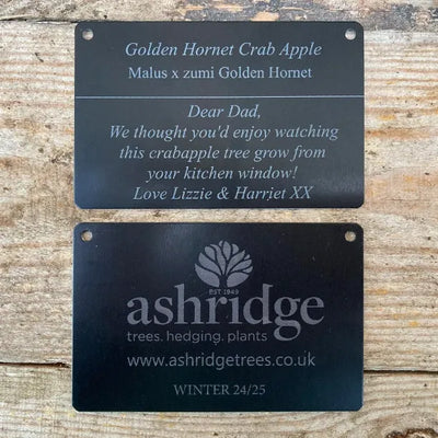 personalised metal tree tag showing the front and back of the tag