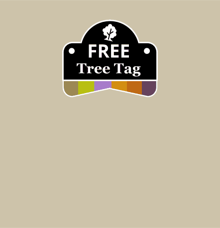 Star Tree Tag Tree Stakes & Guards | Rabbit & Deer Protection