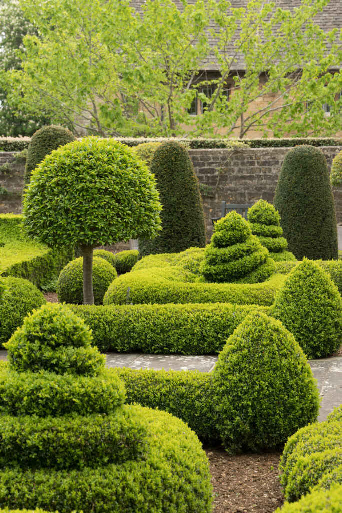 Box hedge parterre