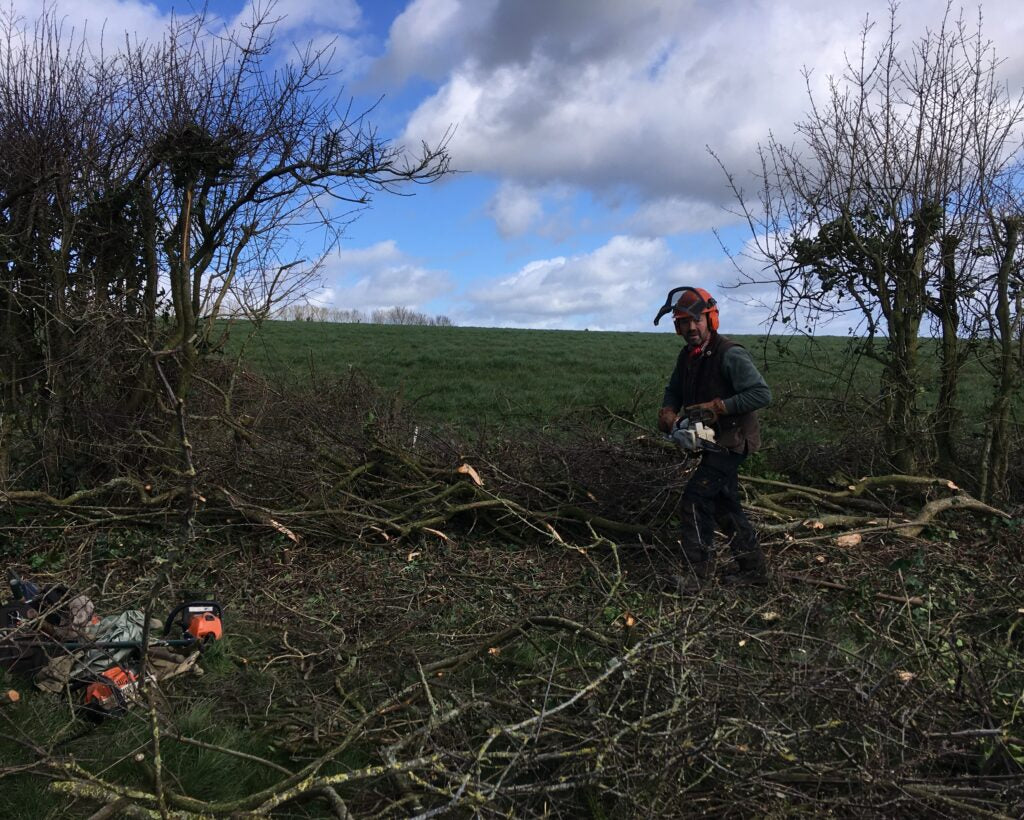 hedging for sale