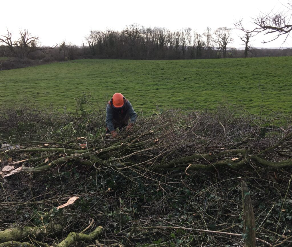 hedging for sale