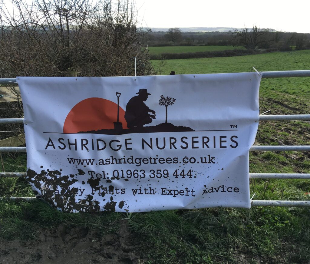 Ashridge Nurseries