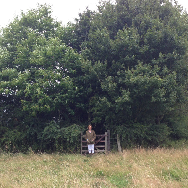 Laughton Wood