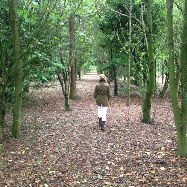 Walking through a 10 year old wood
