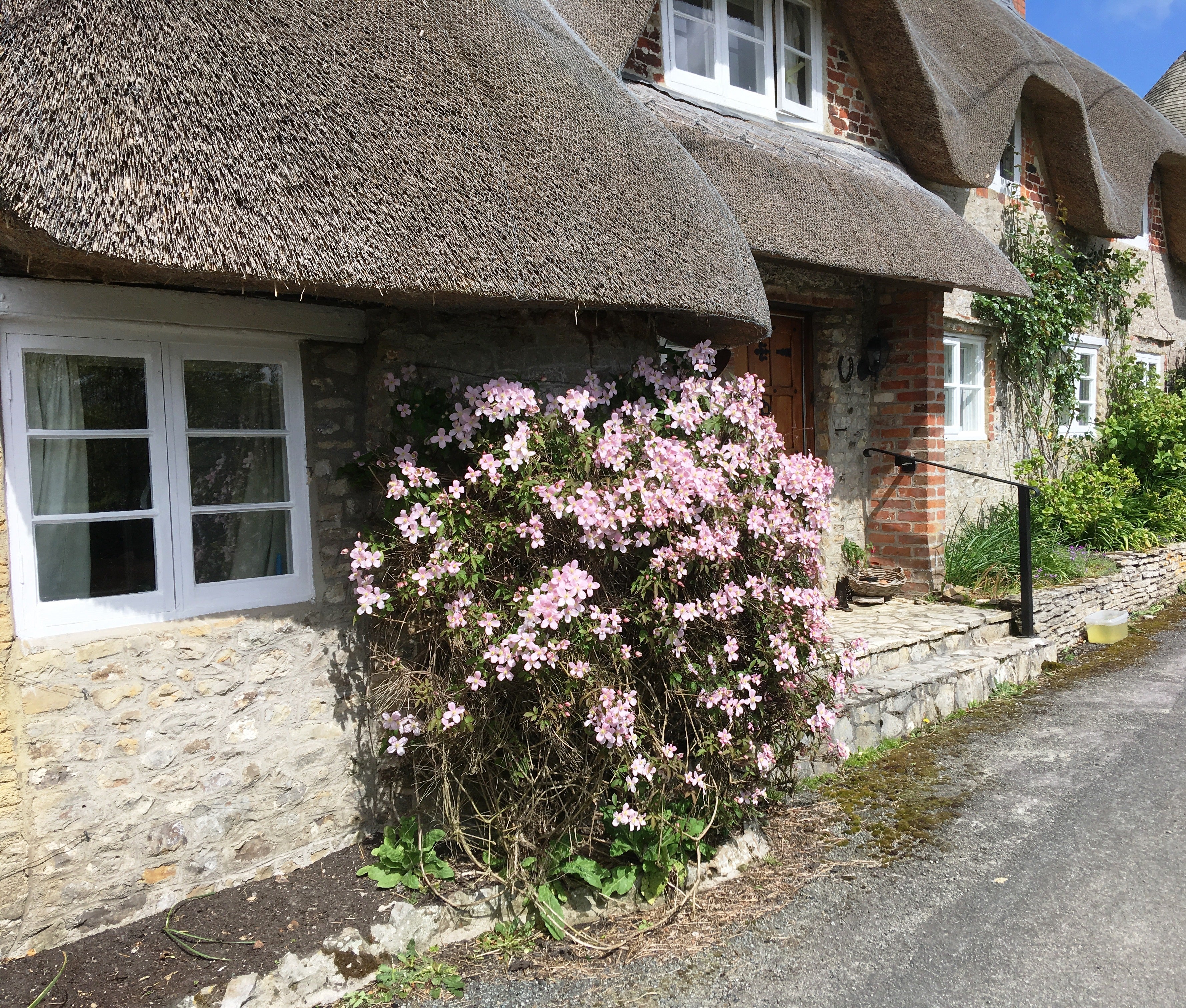 cleamtis montana flowering next to country cottage