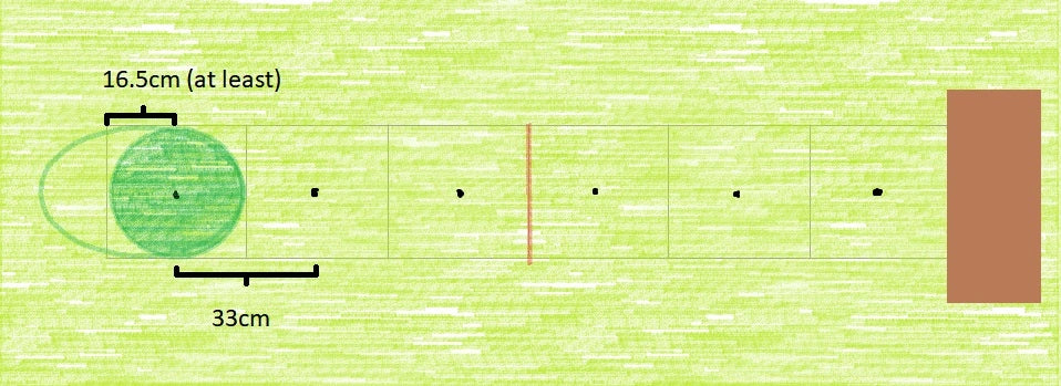 3 Plants Per Metre Hedge Diagram