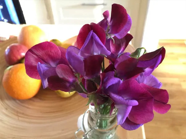 Sweet Peas in a vase on the kitchen table